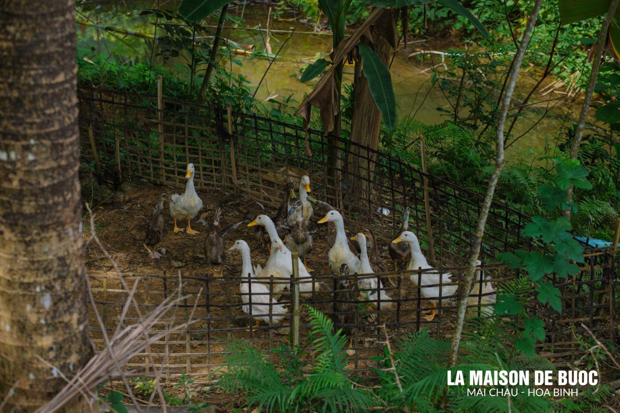 La Maison De Buoc Mai Chau Εξωτερικό φωτογραφία